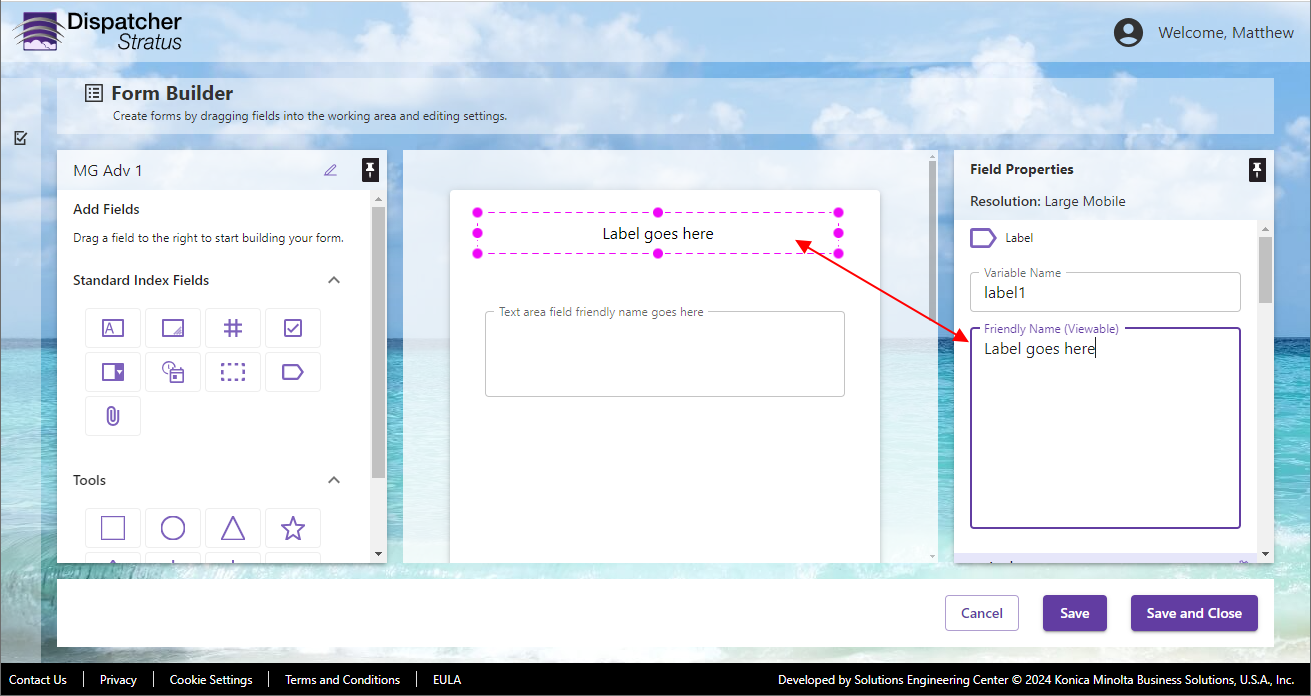 Form field options