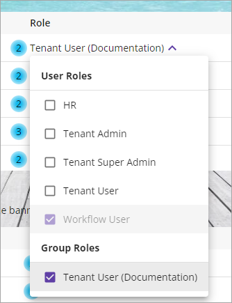 User Roles